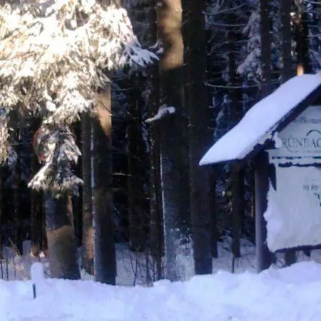 Apartment Novel In Near The Forest Grünbach